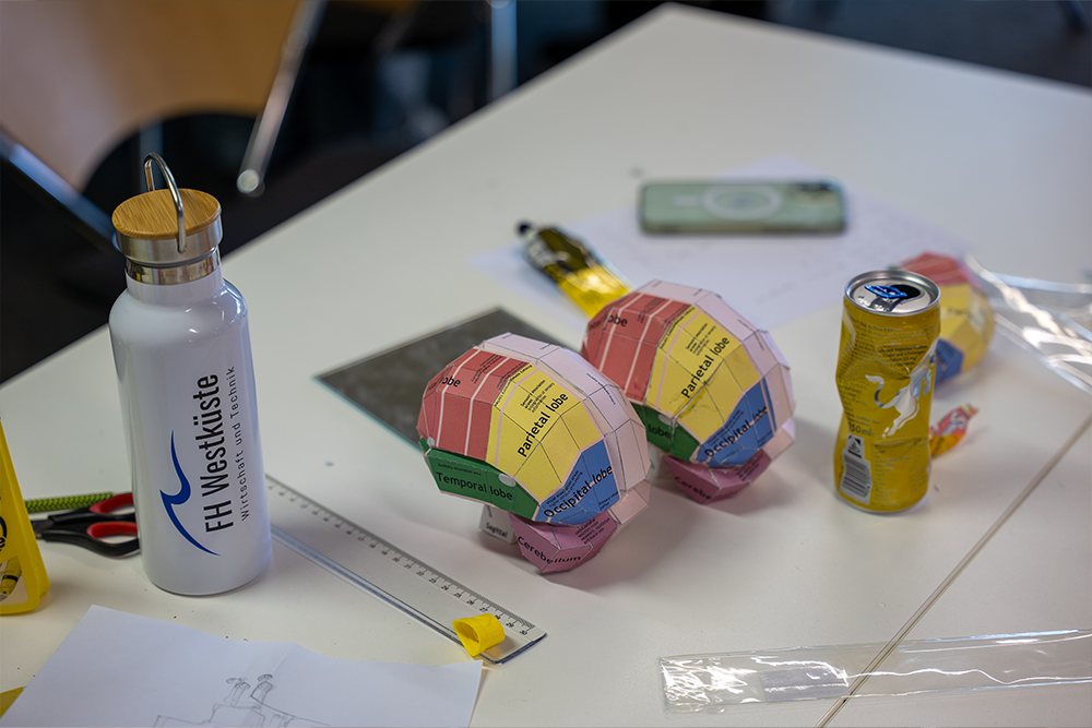 Ein Tisch mit gebastelten Gehirnen und einer Wasserflasche